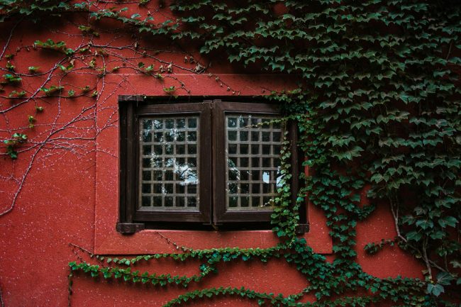 Photo by Marstion Exterior of aged wall of red house with closed wooden window and green plants
