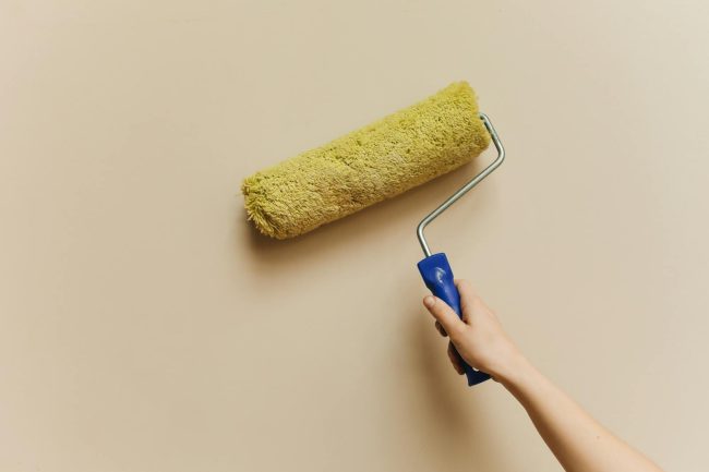 Hand Holding a Pain Roller