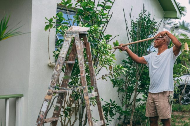 Photo by Craig Adderley Man Painting a House